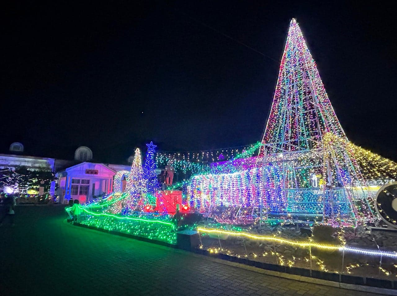 萩イルミネフェスタ2024