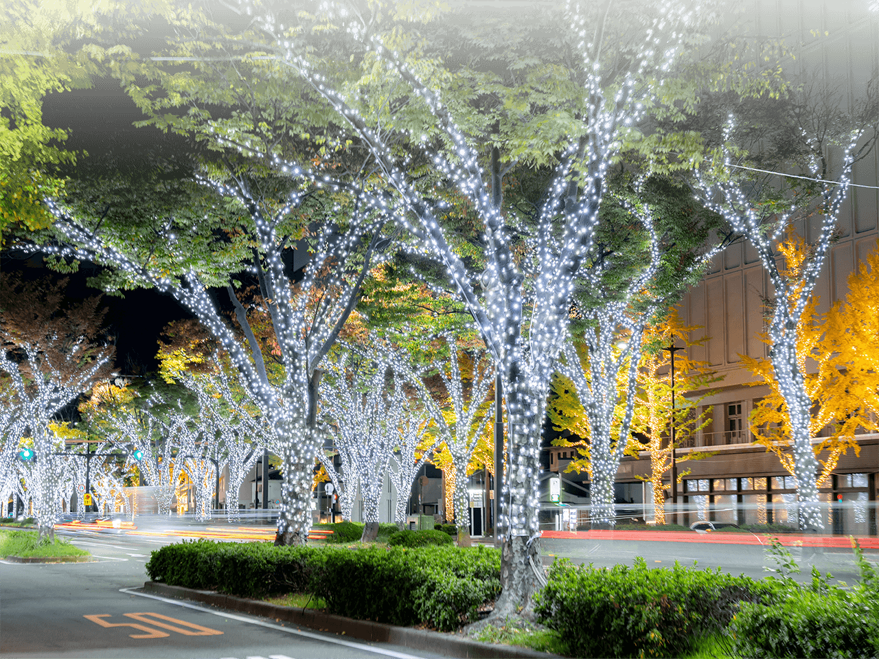 KEYAKI LIGHT PARADE by FeStA LuCe