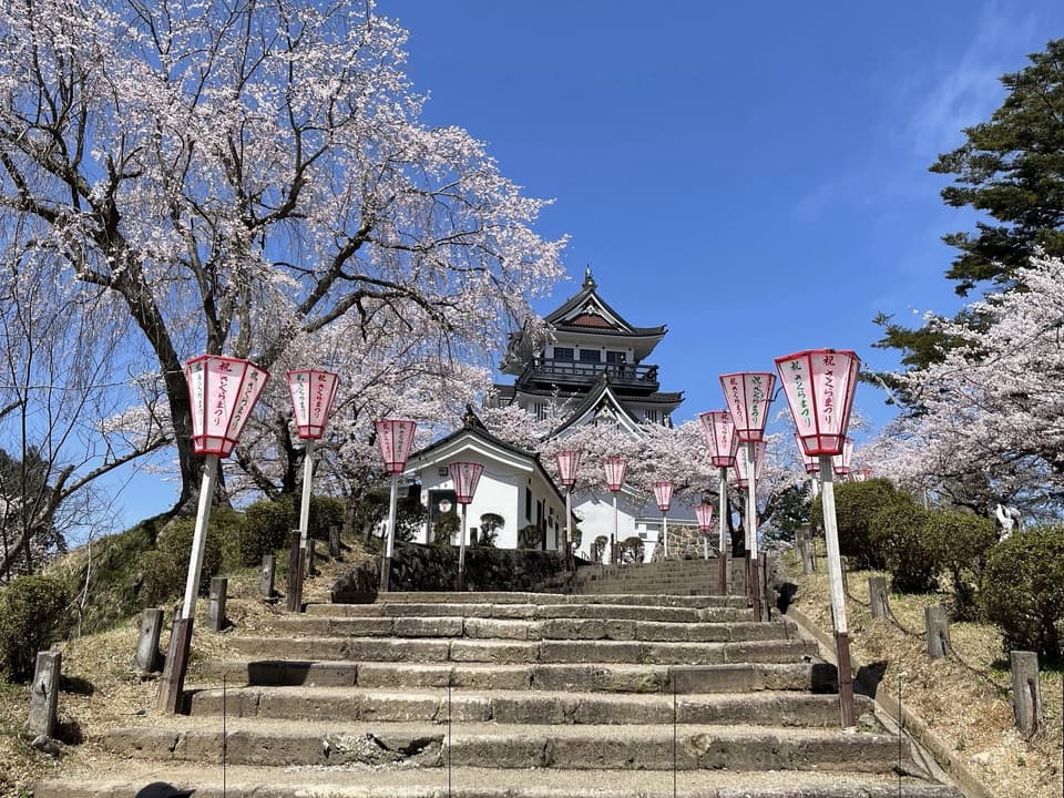 よこて桜まつりの様子