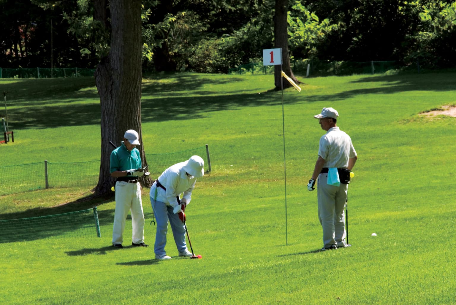 パークゴルフで遊ぶ人たちの画像