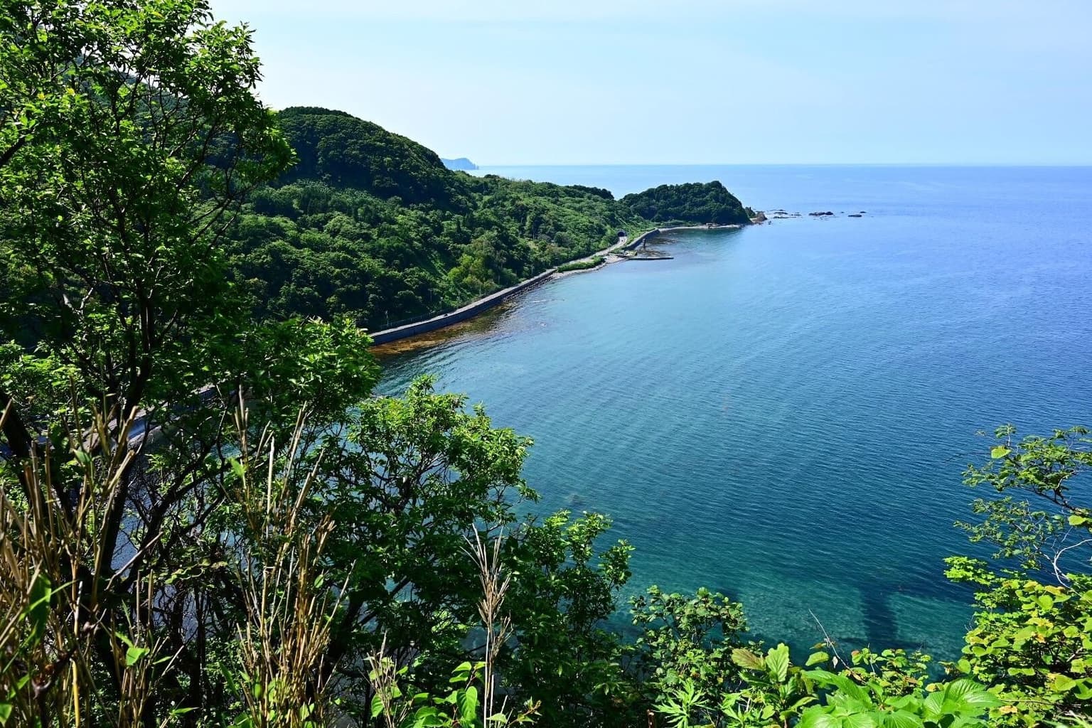 展望台からの眺めの画像