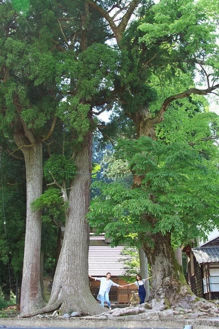 Shirayama Shrine