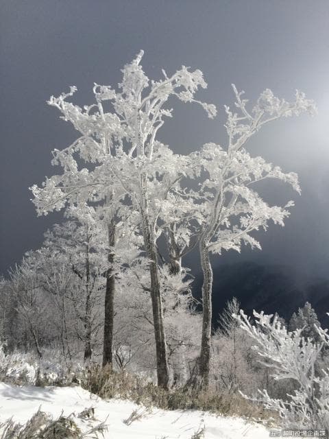 Ice of Gokase Highland Ski Resort