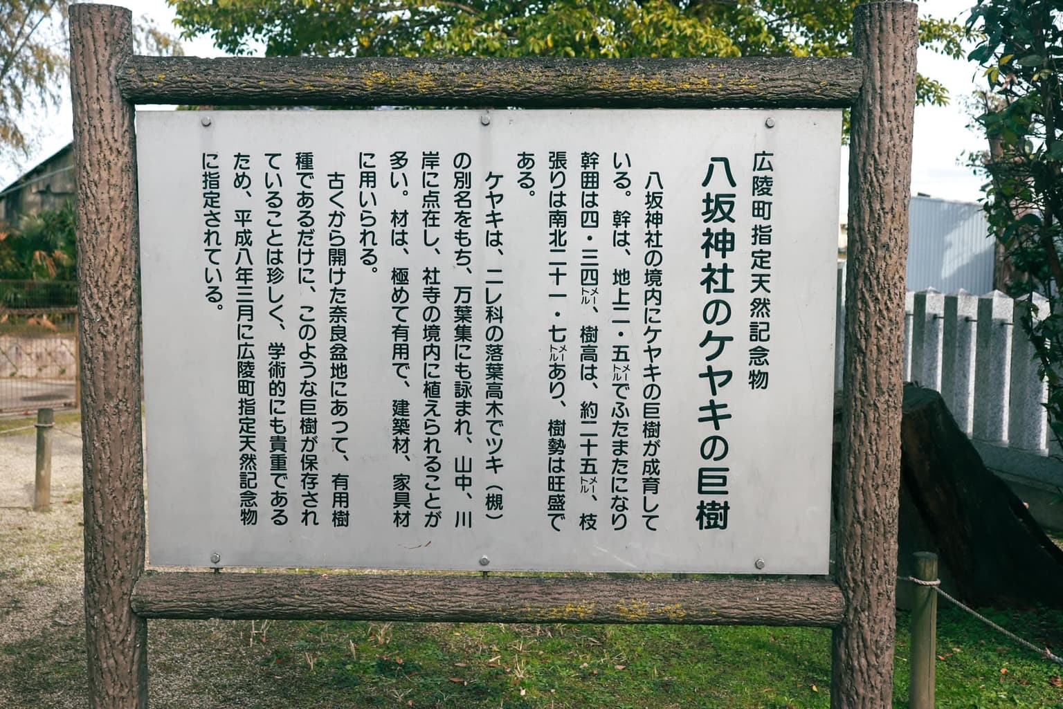 八坂神社(由緒)