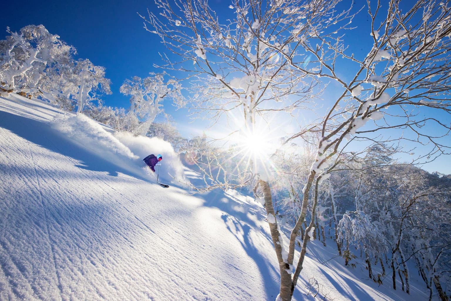 ルスツリゾート