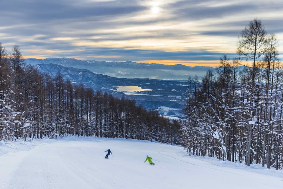 妙高杉ノ原スキー場