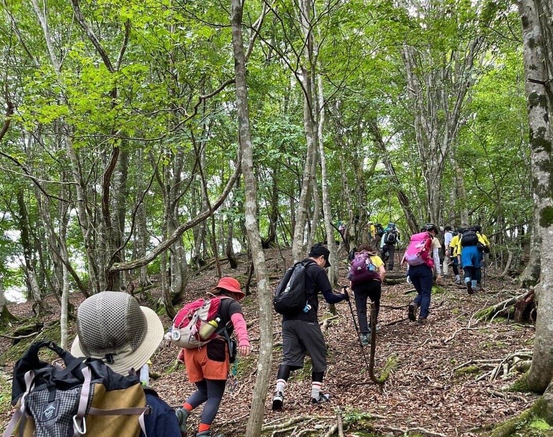 八ヶ峰トレイルルート