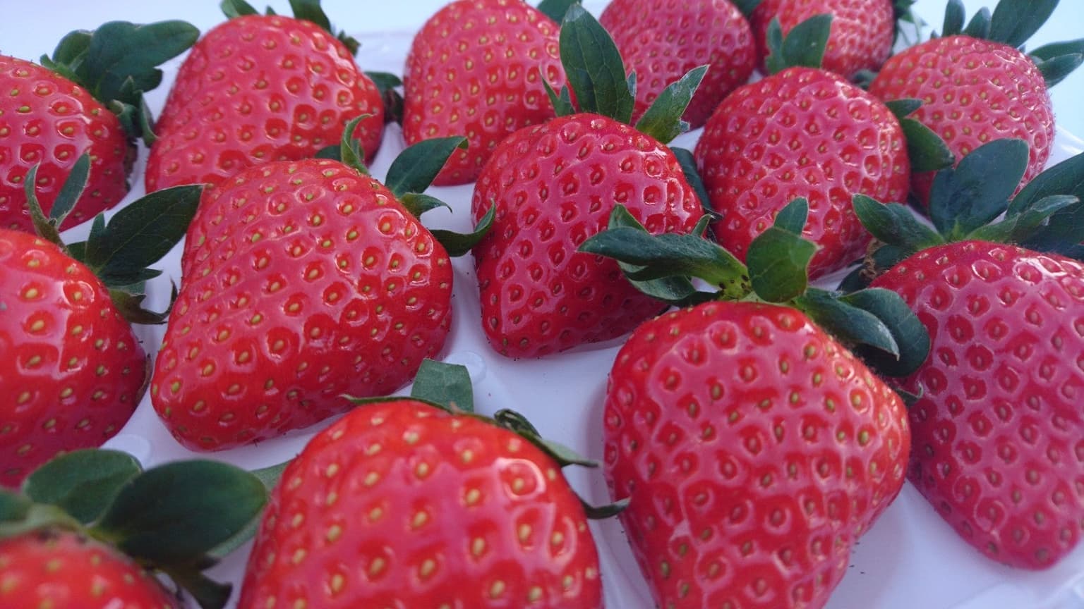 Matsuo Tourist Farm (direct sales shop)