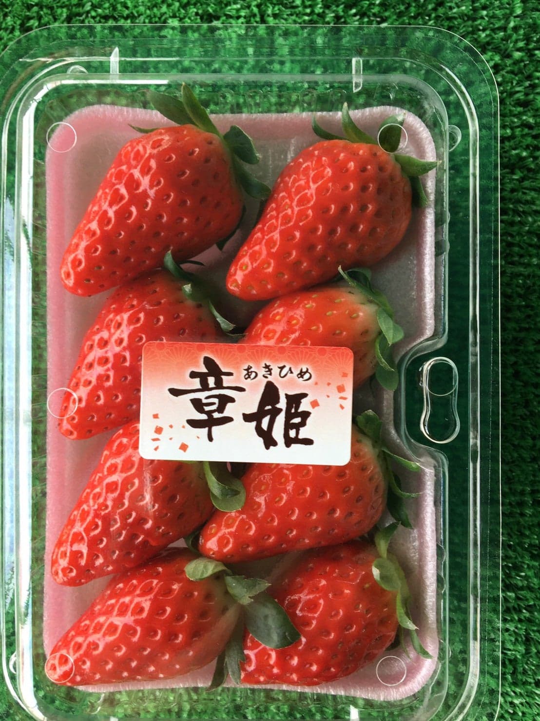 Matsuo Tourist Farm (Akihime)