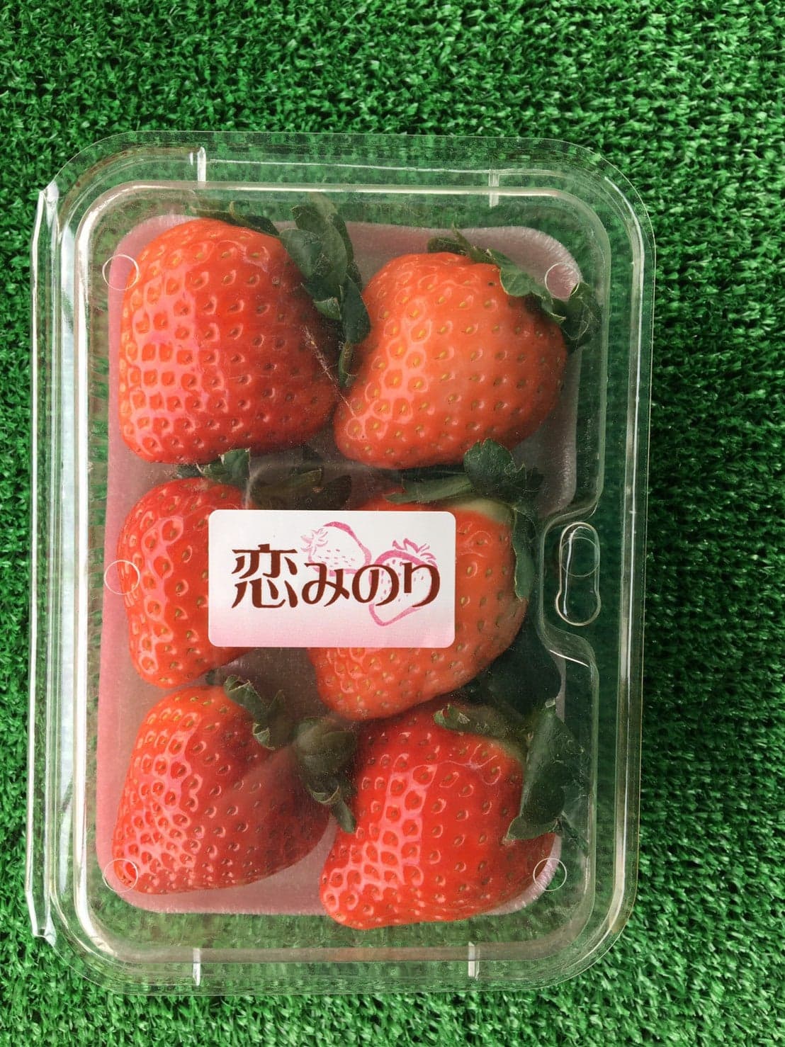 Matsuo Tourist Farm (Koi Minori)