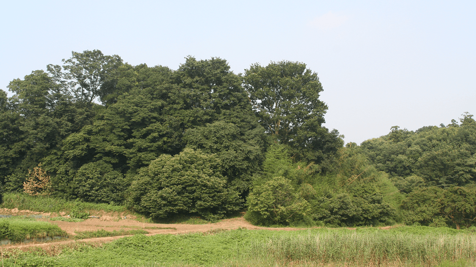 Landscape area of Takao Miyaoka