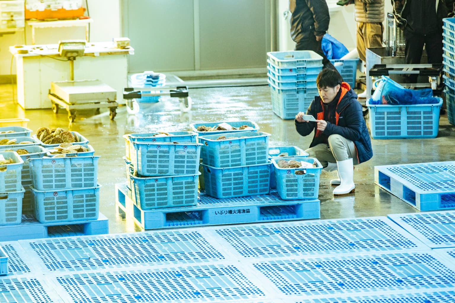 豊浦 セリ見学ツアー23