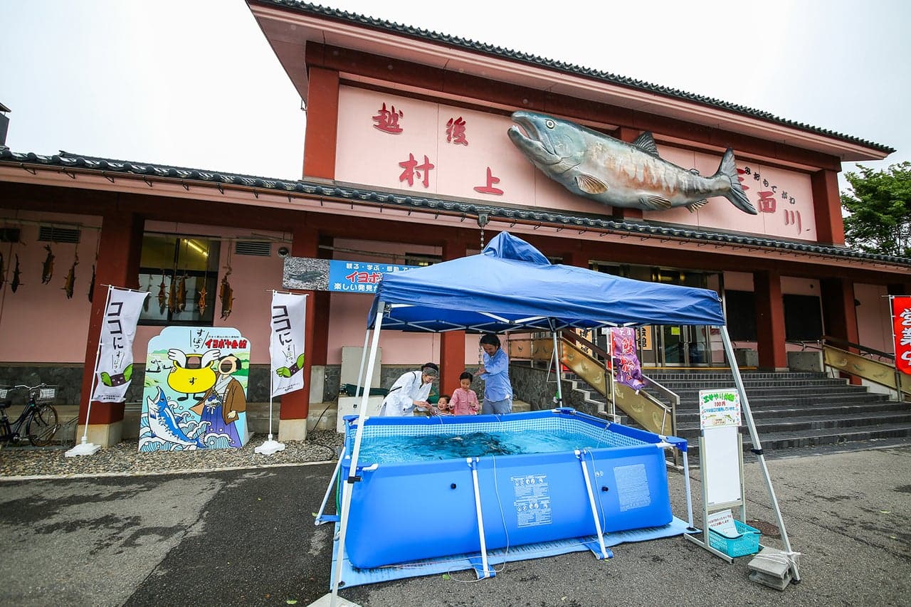 イヨボヤ会館展示