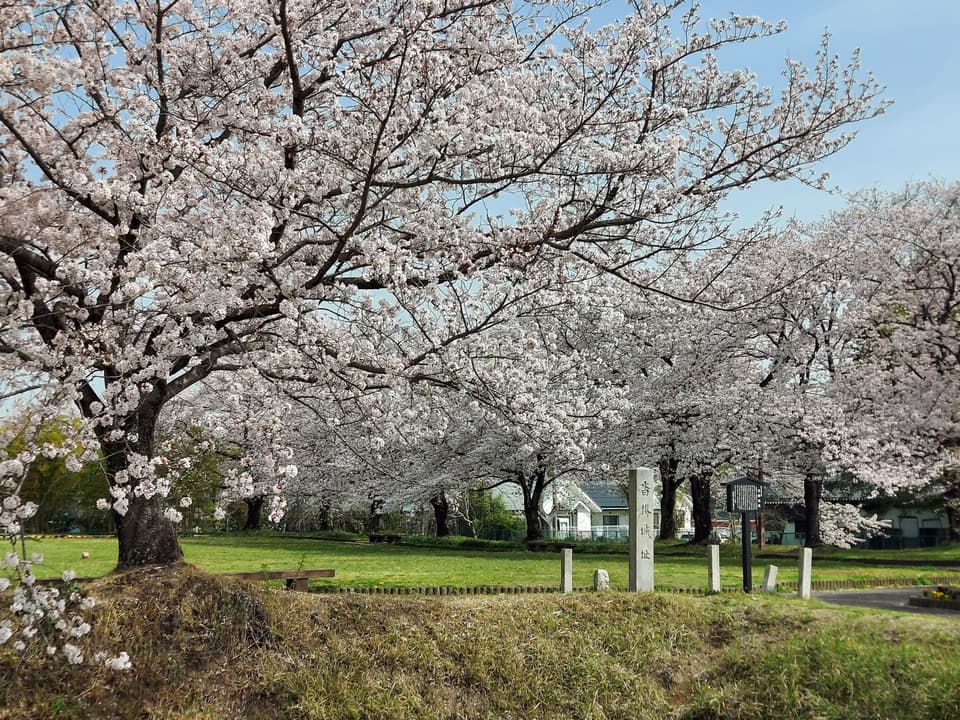 沓掛城址 正面 (春)
