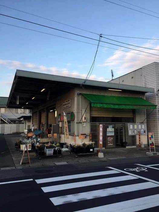 Aozora Market (Shoo-cho)