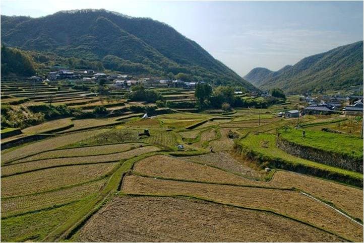 Tanada in Tado