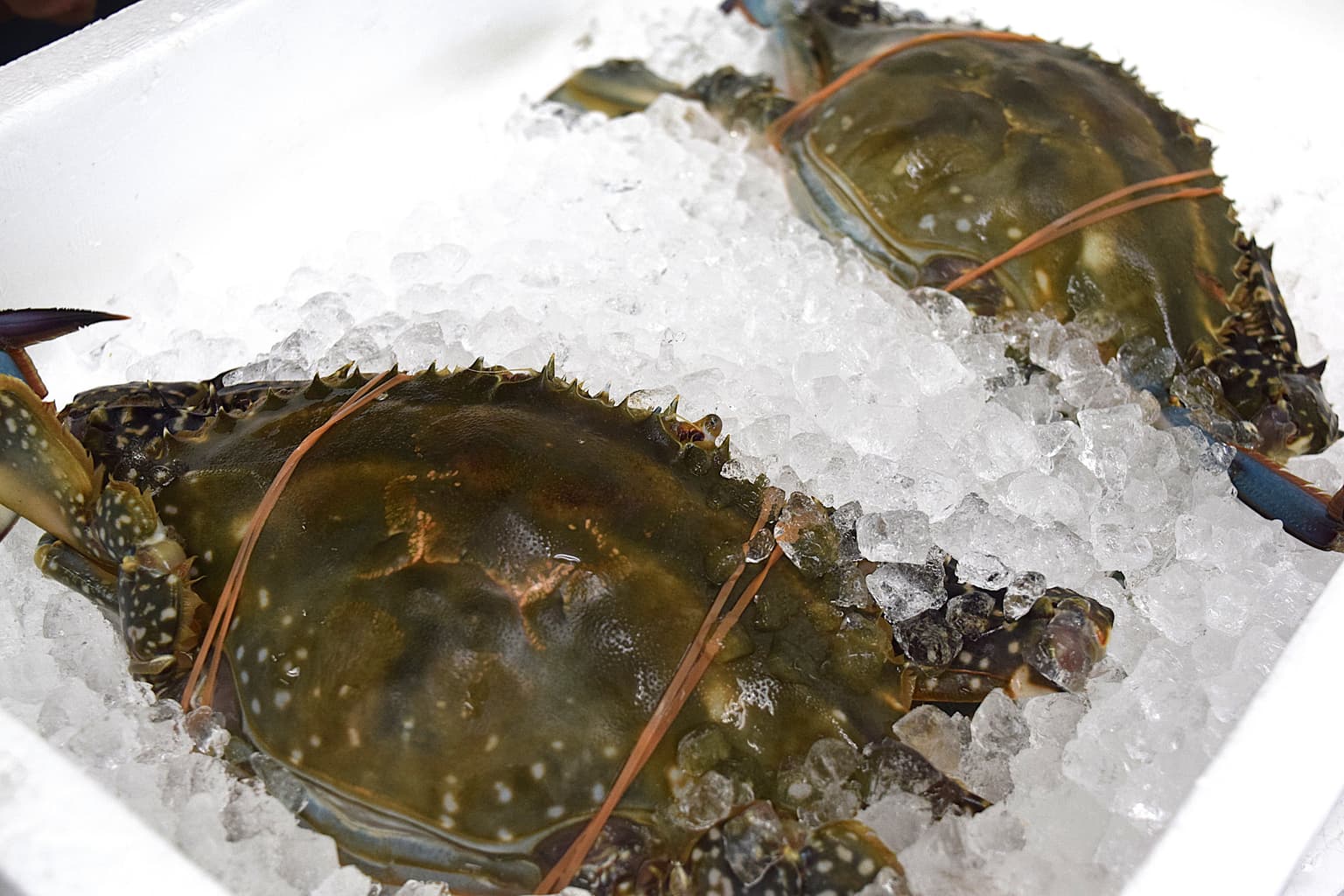 Yorishima Seafood Market