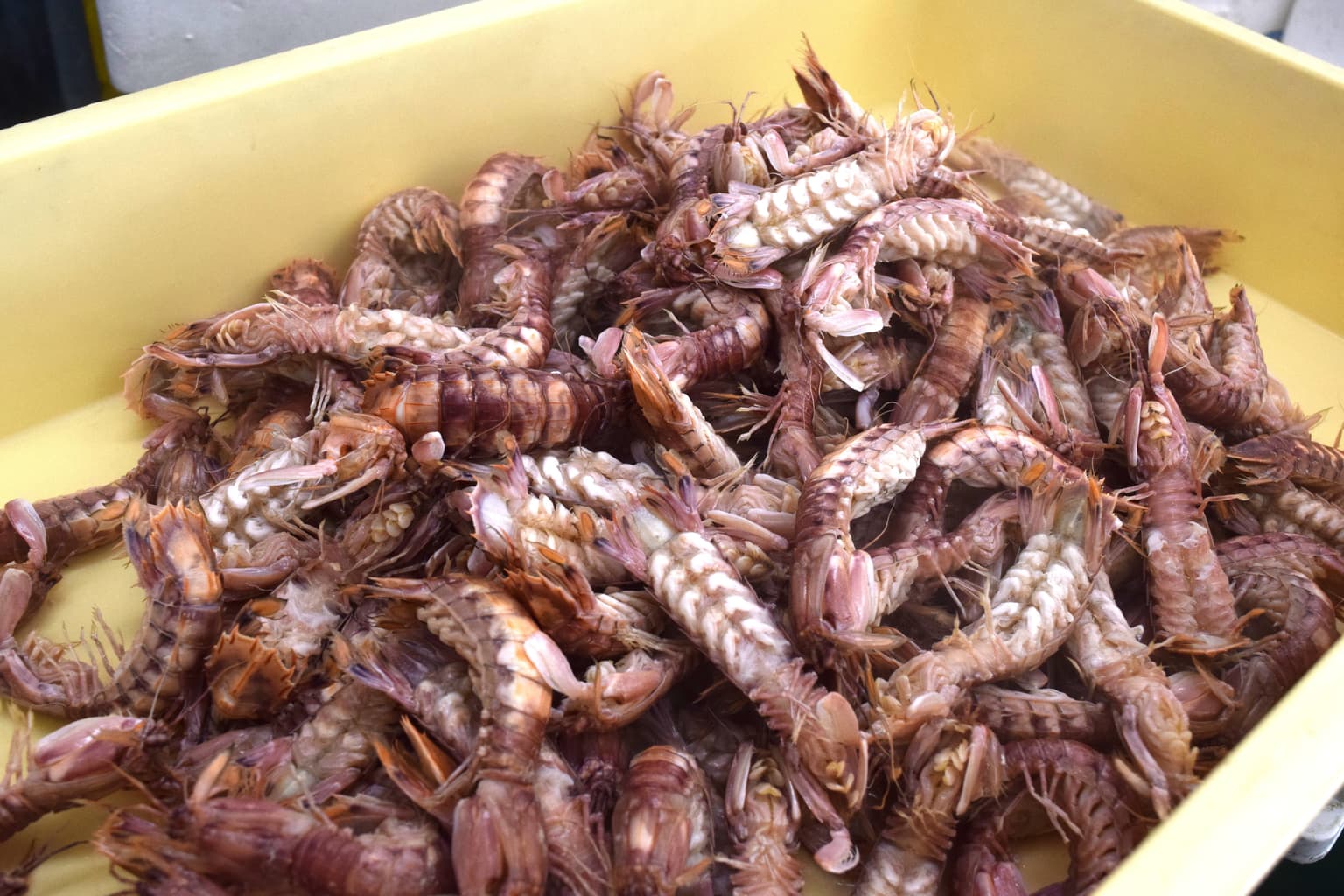 Yorishima Seafood Market