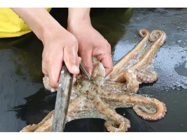 七福丸