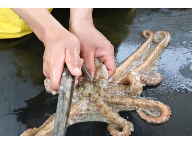 七福丸