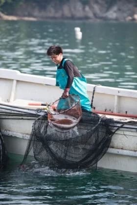 Yuwa Fisheries