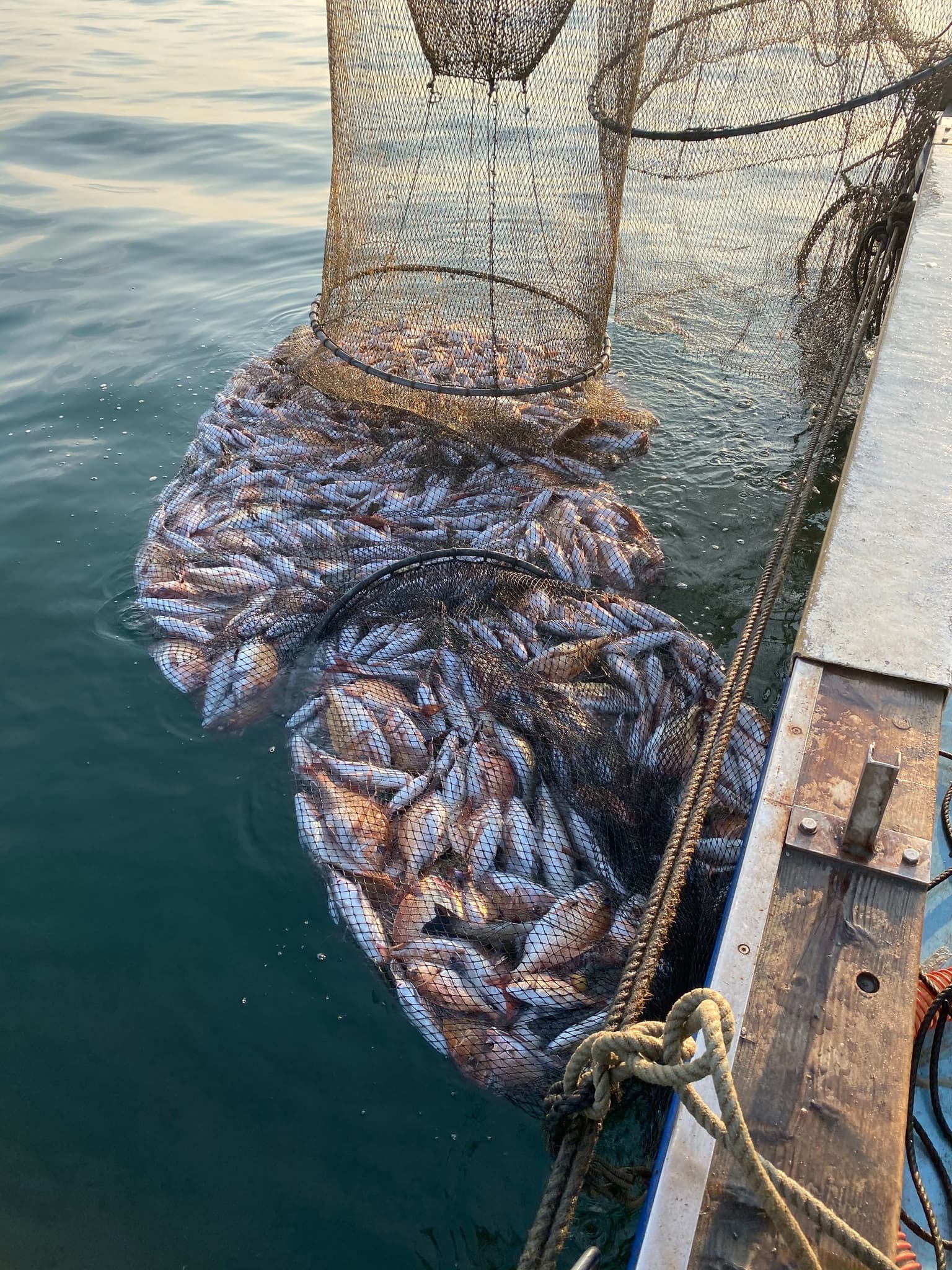 Yuwa Fisheries