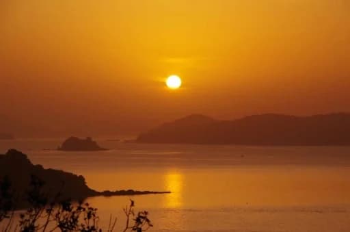 Ile d'or Cafe & Guesthouse