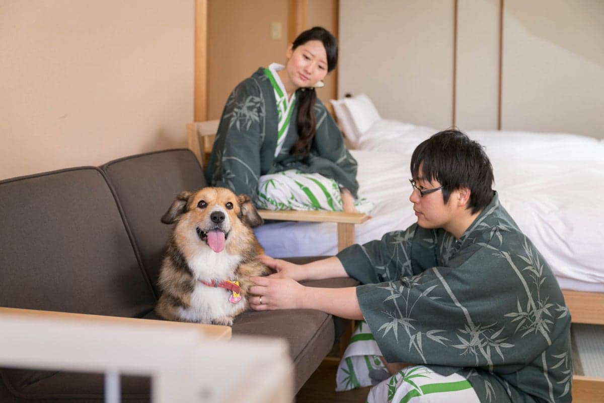 Wankoan, a ryokan where you can stay