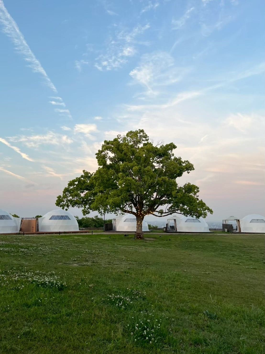 OKAYAMA GLAMPING SORANIA