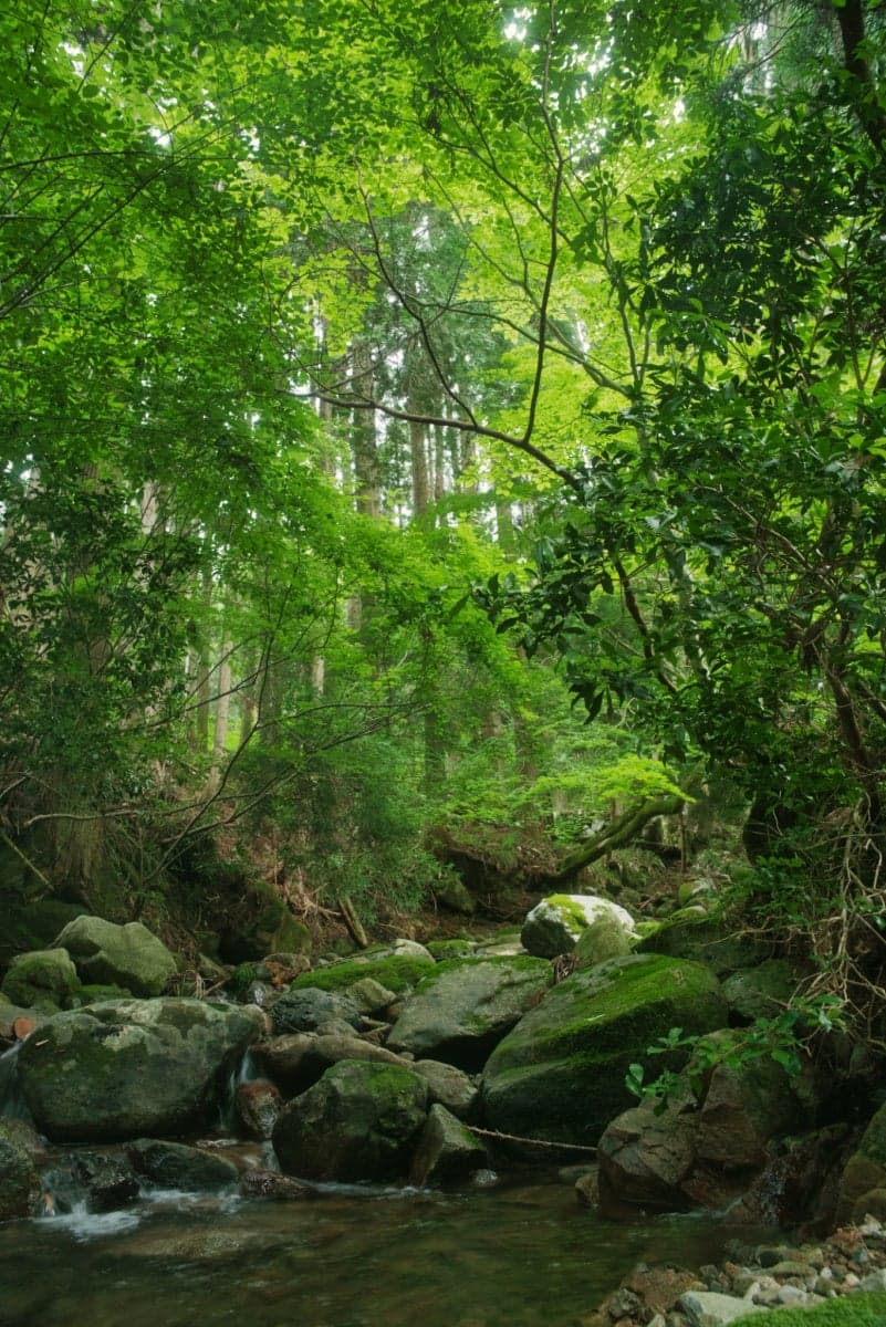 Nishiawakura Village Campsite Morika