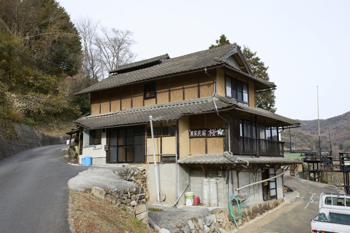 Farmer's guest house cherry blossoms