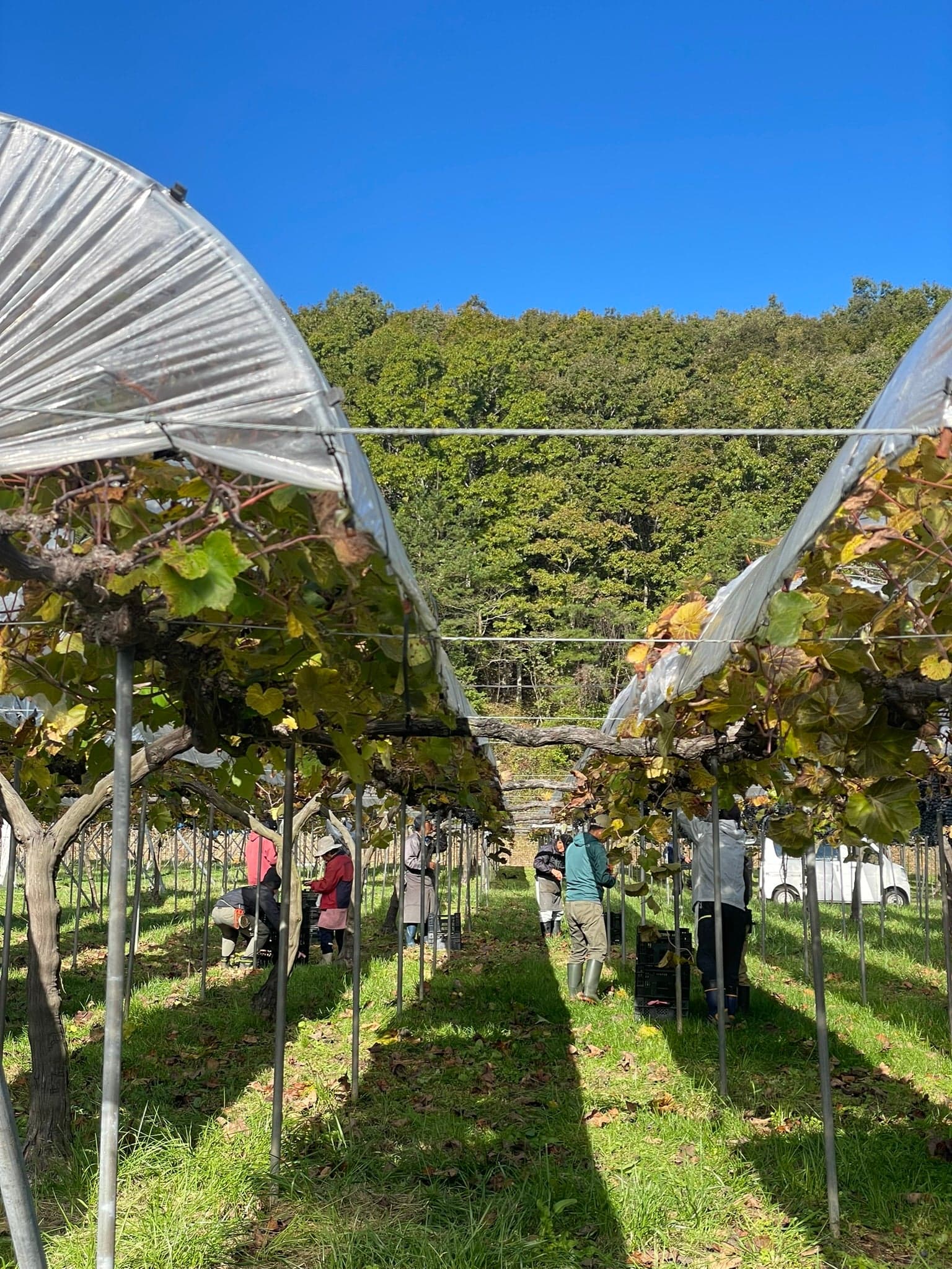 【Reservation required】 domaine tetta