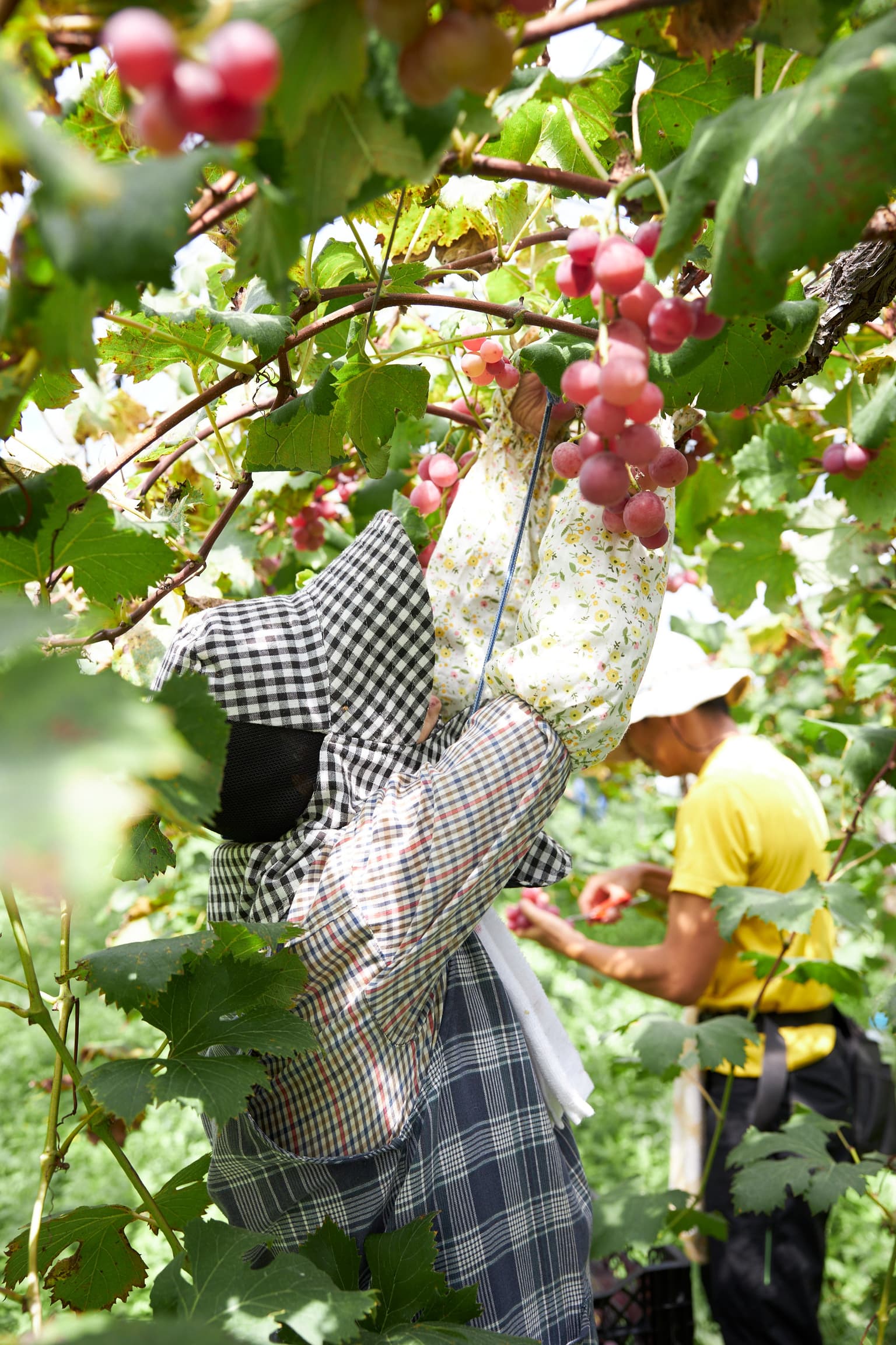【Reservation required】 domaine tetta