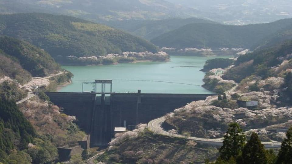 Ichifusa Dam and Cherry Blossoms