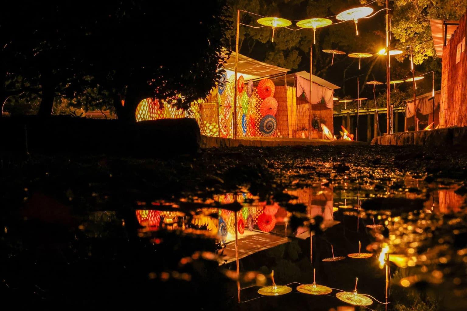 Chrysanthemum Flower Exhibition