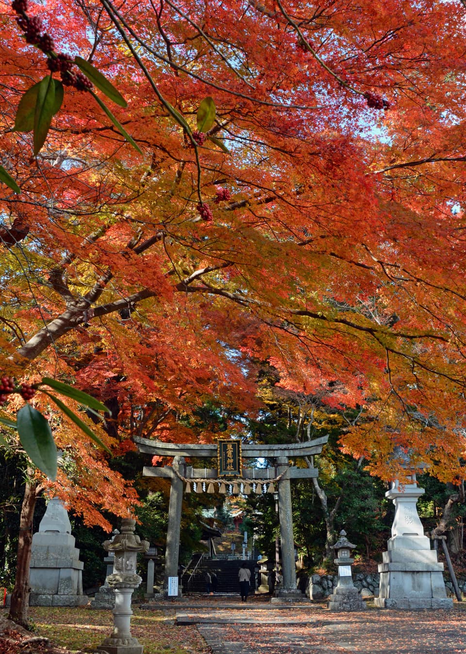 志波彦神社・鹽竈神社の紅葉