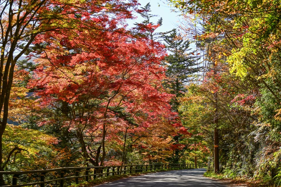 夏井川渓谷の紅葉