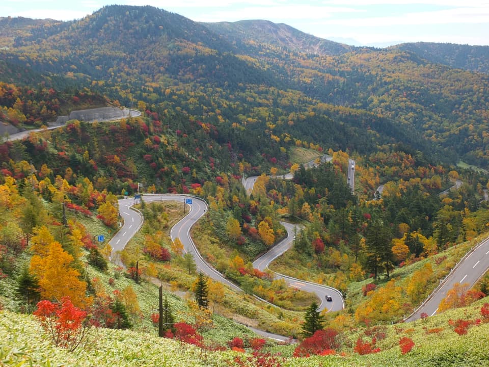 志賀草津高原ルート(国道292号)の紅葉