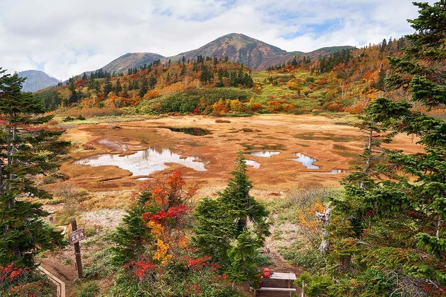 Autumn leaves in Myotaka Kogen (Mount Hiuchi)