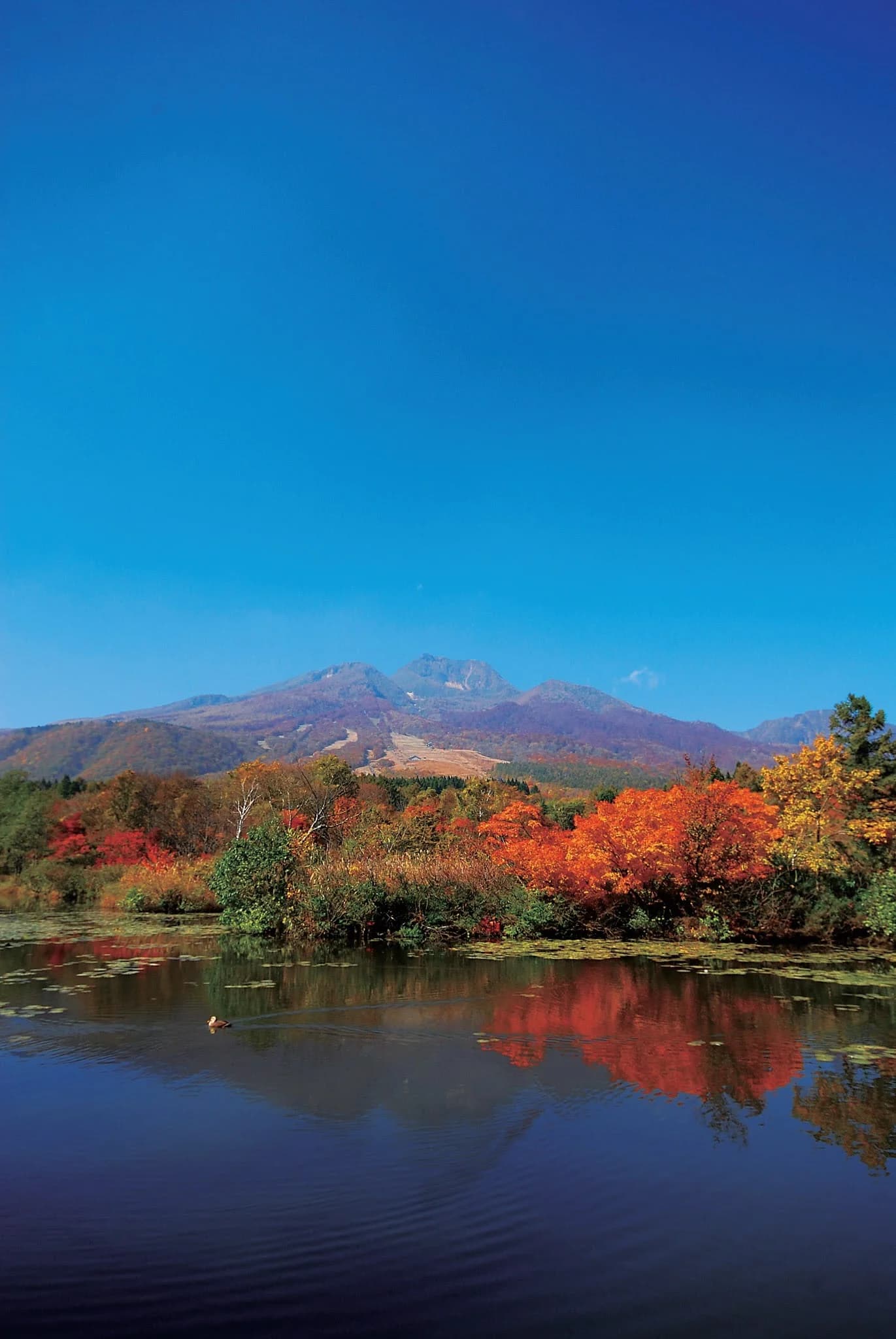 Imori Pond with Autumn Leaves and Mt. Myoko
