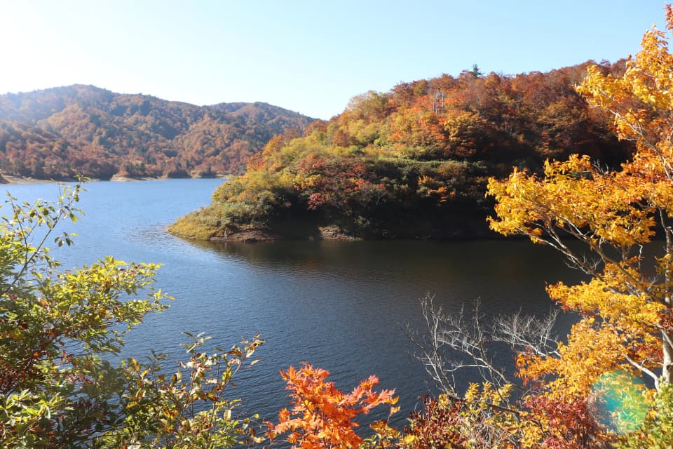 Autumn leaves in Arimine Forest Culture Village (Arimine Forest Culture Park)