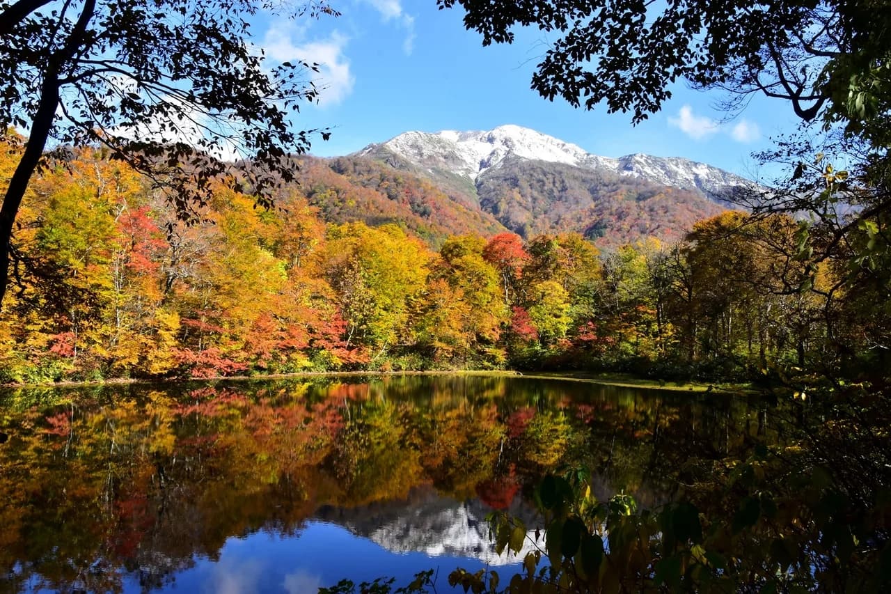 刈込池の紅葉