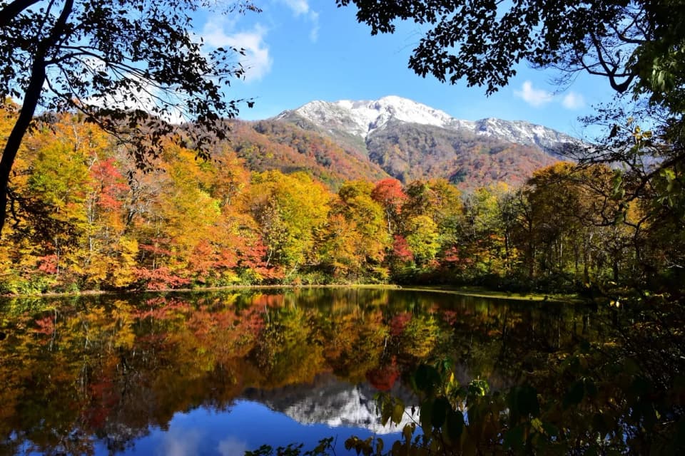 刈込池の紅葉