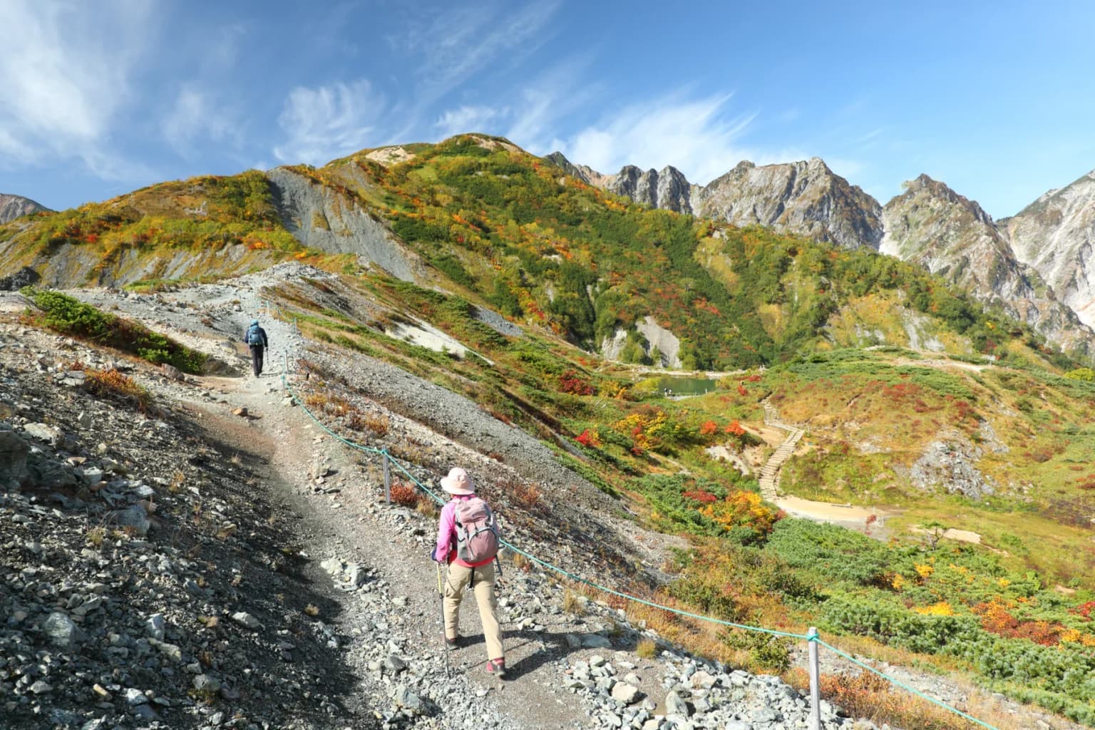 Autumn leaves on the happo ridge