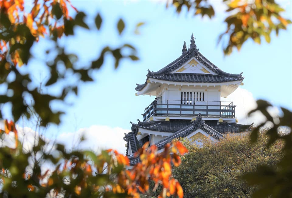 Autumn leaves in Hamamatsu Castle Park