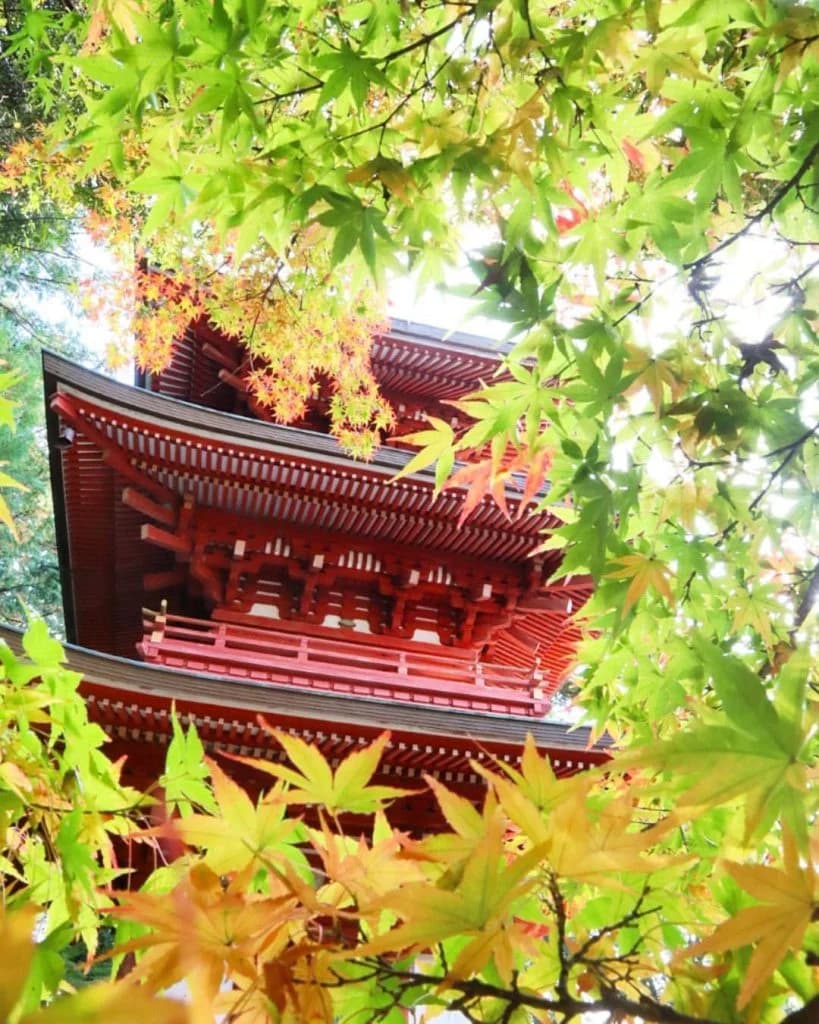 医王山油山寺の紅葉