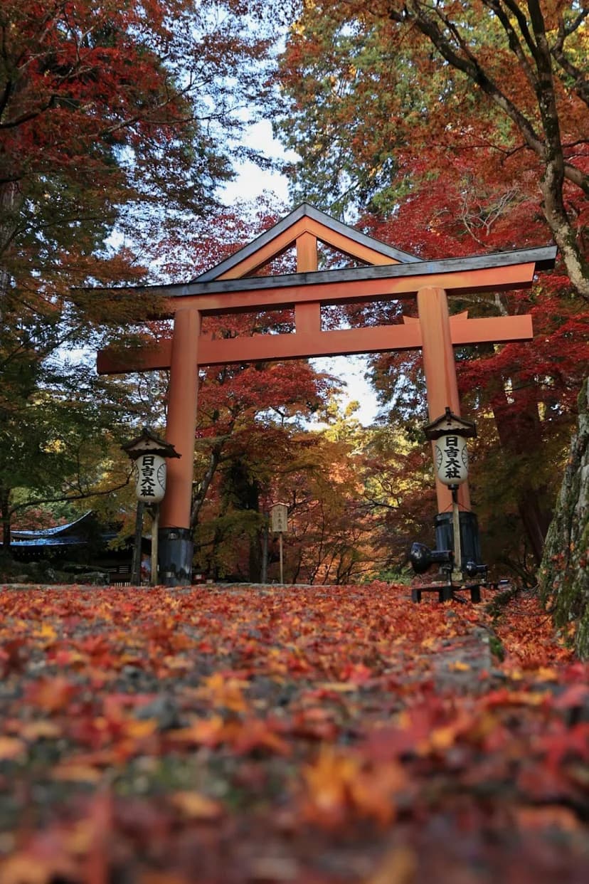 日吉大社の紅葉