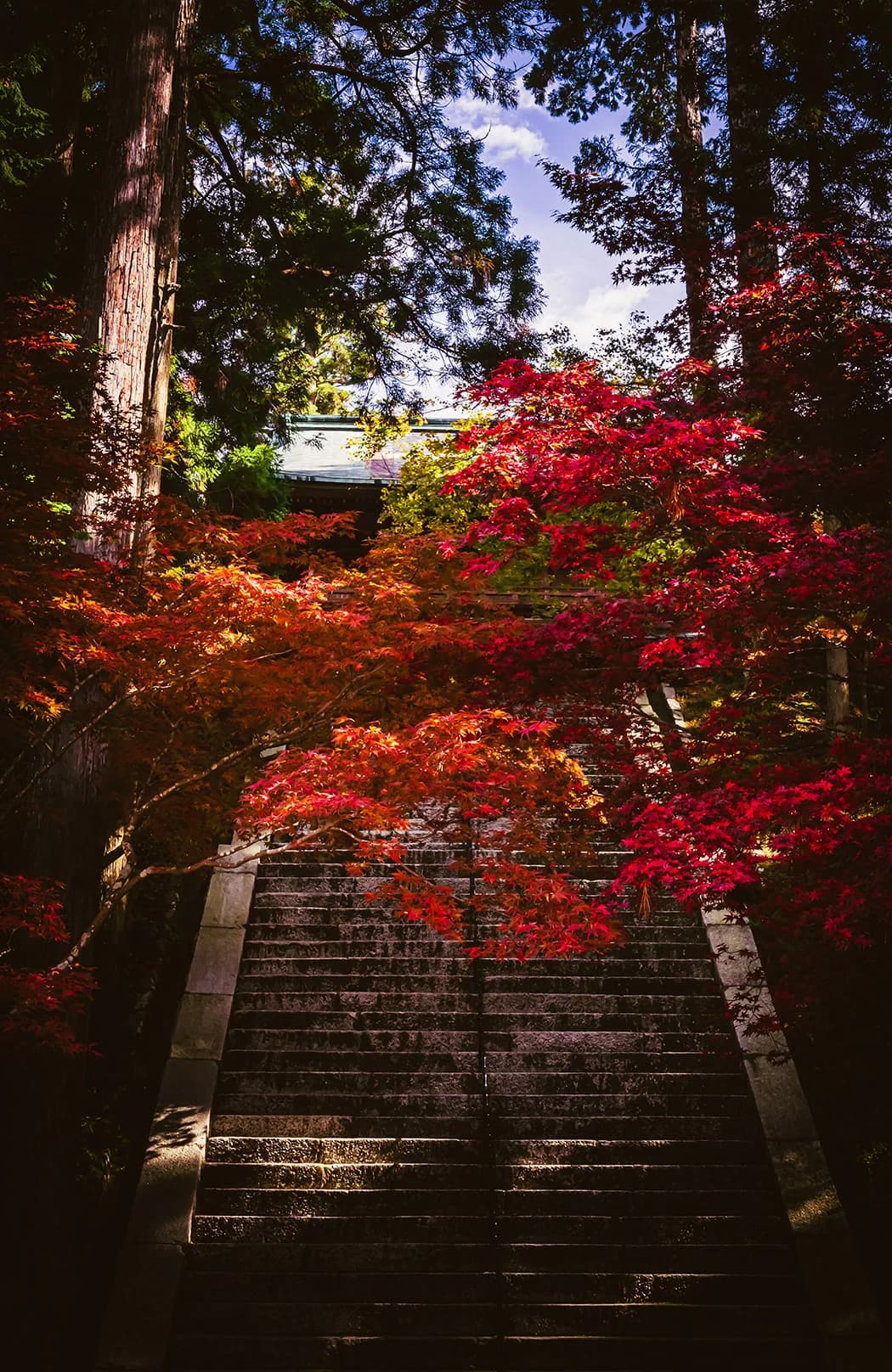 Autumn leaves of Enryaku-ji Temple, Mt. Hiei-zan