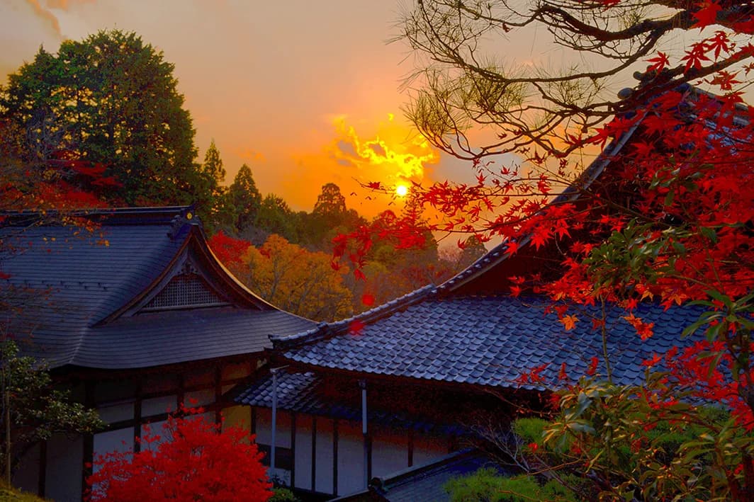 Autumn leaves at Kotosanzan Hyoji-ji Temple (National Historic Site)