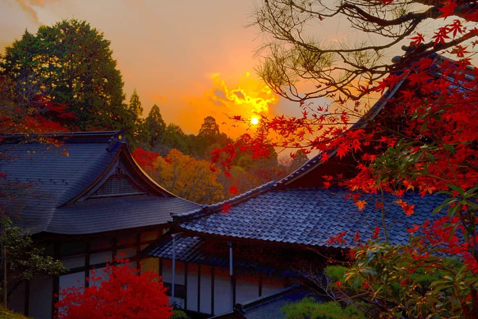 湖東三山 百済寺(国史跡)の紅葉